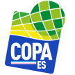 Copa Espírito Santo