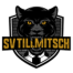 Tillmitsch