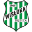 Wisłoka Dębica