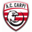 Athletic Carpi