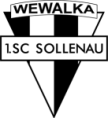 Sollenau