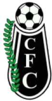 Concepción FC