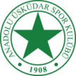 Anadolu Bagcilar