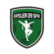 Efeler 09 Spor