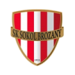 Sokol Brozany