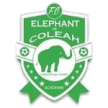 Eléphant Coléah