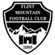 Flint Mountain