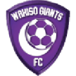 Wakiso Giants