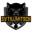 Tillmitsch