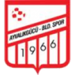 Ayvalıkgücü Belediyespor