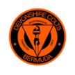 Devonshire Colts