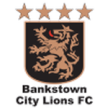 Bankstown City Lions