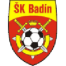 Badín