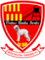 Bedlington Terriers FC