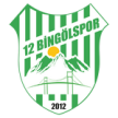 12 Bingol Spor