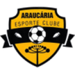 Araucaria U20