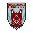 Dalton Red Wolves