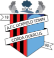 Uckfield Town