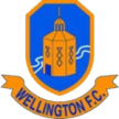 Забег 6 Wellington