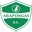 Arapongas