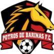 Potros De Barinas