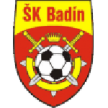 Badín