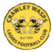 Crawley Wasps W